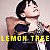 Lemon Tree (남자키)